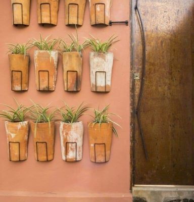 Des pots en terre cuite avec des plantes accrochés à un mur rose.