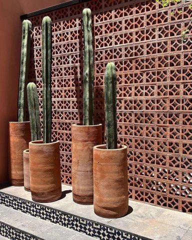 Quatre cactus verts dans de grands pots en terre cuite, devant un mur en briques décoratives.