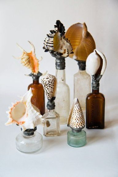 Bouteilles vintage ornées de coquillages, disposées sur un fond blanc.